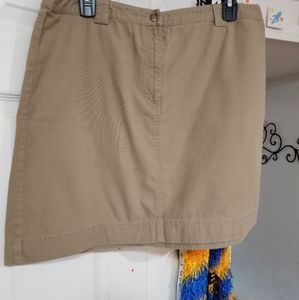 Ann Taylor LOFT skirt
